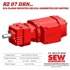 Helical Gear Motor R07/RF07/RZ07  DRN... (IE3 Motor) 2