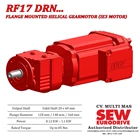 Helical Gear Motor R17/RF17/RZ17  DRN... (IE3 Motor) 3