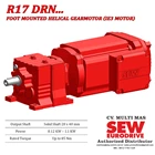 Helical Gear Motor R17/RF17/RZ17  DRN... (IE3 Motor) 1