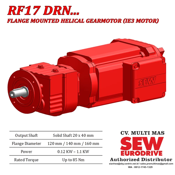 Helical Gear Motor R17/RF17/RZ17  DRN... (IE3 Motor)