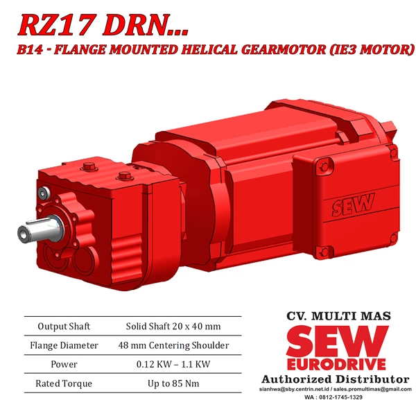 Helical Gear Motor R17/RF17/RZ17  DRN... (IE3 Motor)
